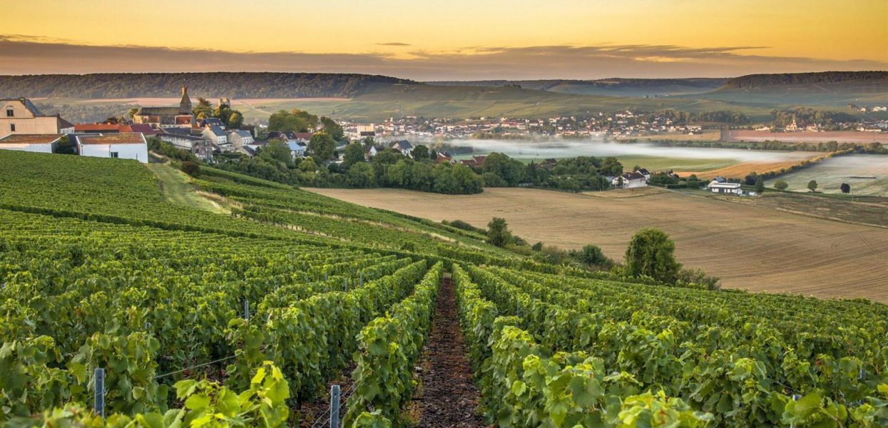 5 bonnes raisons de partir en vacances en Champagne 5 bonnes raisons de partir en vacances en Champagne