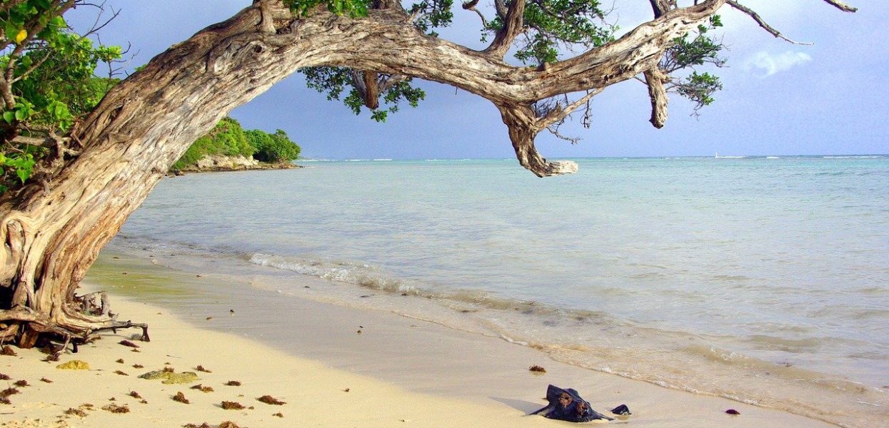 Quel est le mois le moins cher pour partir en Guadeloupe ? Quel est le mois le moins cher pour partir en Guadeloupe ?