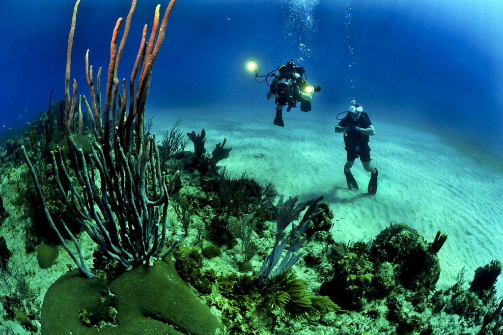 deux plongeurs qui observent des coraux
