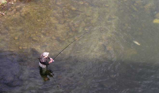 Quelle monture acheter pour la pêche à la truite ?