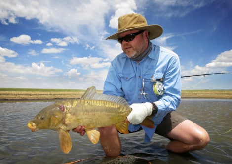 5 destinations en France pour les amateurs de pêche à la carpe