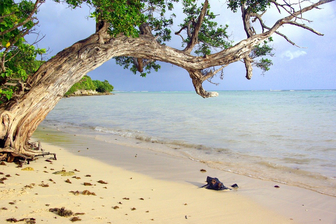 Quel est le mois le moins cher pour partir en Guadeloupe ?